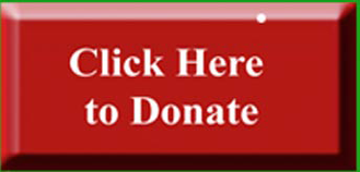 Donate Button